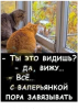 Клуб Ниссан Террано | Форум Terrano-Club.Ru | Фото: 1.png