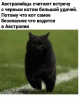 Клуб Ниссан Террано | Форум Terrano-Club.Ru | Фото: 00.png