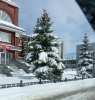 Клуб Ниссан Террано | Форум Terrano-Club.Ru | Фото: IMG_20250429_133845.jpg