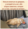 Клуб Ниссан Террано | Форум Terrano-Club.Ru | Фото: 2.png