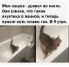 Клуб Ниссан Террано | Форум Terrano-Club.Ru | Фото: 2.png