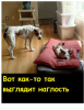 Клуб Ниссан Террано | Форум Terrano-Club.Ru | Фото: 10.png