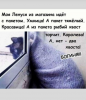 Клуб Ниссан Террано | Форум Terrano-Club.Ru | Фото: 7.png