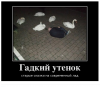 Клуб Ниссан Террано | Форум Terrano-Club.Ru | Фото: 2.png