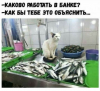 Клуб Ниссан Террано | Форум Terrano-Club.Ru | Фото: 4.png