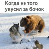 Клуб Ниссан Террано | Форум Terrano-Club.Ru | Фото: 3.jpg
