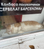 Клуб Ниссан Террано | Форум Terrano-Club.Ru | Фото: 3.png