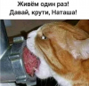 Клуб Ниссан Террано | Форум Terrano-Club.Ru | Фото: 5.png