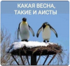 Клуб Ниссан Террано | Форум Terrano-Club.Ru | Фото: 6.png