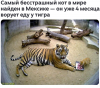 Клуб Ниссан Террано | Форум Terrano-Club.Ru | Фото: 1.png