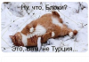 Клуб Ниссан Террано | Форум Terrano-Club.Ru | Фото: 1.png