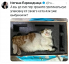 Клуб Ниссан Террано | Форум Terrano-Club.Ru | Фото: 2.png