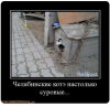 Клуб Ниссан Террано | Форум Terrano-Club.Ru | Фото: 5.png