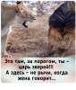 Клуб Ниссан Террано | Форум Terrano-Club.Ru | Фото: 6.png
