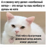 Клуб Ниссан Террано | Форум Terrano-Club.Ru | Фото: 2.png