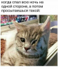 Клуб Ниссан Террано | Форум Terrano-Club.Ru | Фото: 2.png