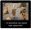 Клуб Ниссан Террано | Форум Terrano-Club.Ru | Фото: 2.png