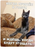 Клуб Ниссан Террано | Форум Terrano-Club.Ru | Фото: 1.png