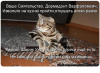 Клуб Ниссан Террано | Форум Terrano-Club.Ru | Фото: 1.png