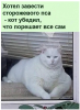 Клуб Ниссан Террано | Форум Terrano-Club.Ru | Фото: 1.png