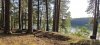 Клуб Ниссан Террано | Форум Terrano-Club.Ru | Фото: IMG_20260815_181336.jpg
