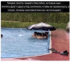 Клуб Ниссан Террано | Форум Terrano-Club.Ru | Фото: 3.png