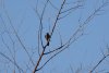 DSC00675с.jpg
