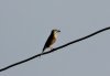 DSC00696с.jpg