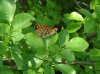 DSC00711с.jpg