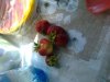 Фото0265.jpg