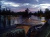 наши затопленные дороги с борзыми чайками.jpg
