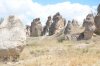 DSC_2637.JPG