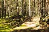 Клуб Ниссан Террано | Форум Terrano-Club.Ru | Фото: IMG_6803.jpg
