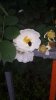 20150701_110636.jpg