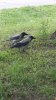 20150711_102931.jpg