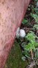 20150504_093256.jpg