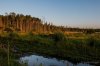 Клуб Ниссан Террано | Форум Terrano-Club.Ru | Фото: IMG_8245.jpg