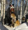 Клуб Ниссан Террано | Форум Terrano-Club.Ru | Фото: Mary_dog.jpg