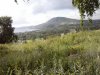 Клуб Ниссан Террано | Форум Terrano-Club.Ru | Фото: CAM04878.jpg