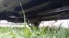 20150822_152257.jpg