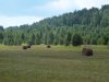 Клуб Ниссан Террано | Форум Terrano-Club.Ru | Фото: DSCF7142.JPG