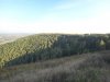 Клуб Ниссан Террано | Форум Terrano-Club.Ru | Фото: DSC05384.JPG