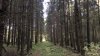 Клуб Ниссан Террано | Форум Terrano-Club.Ru | Фото: Было.jpg