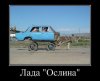 Клуб Ниссан Террано | Форум Terrano-Club.Ru | Фото: image (4).jpg