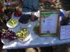 DSC01813c.jpg
