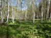 Клуб Ниссан Террано | Форум Terrano-Club.Ru | Фото: 1.JPG