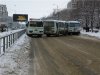 пазлы.jpg