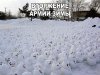 Клуб Ниссан Террано | Форум Terrano-Club.Ru | Фото: image.jpg
