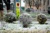 Клуб Ниссан Террано | Форум Terrano-Club.Ru | Фото: Снегопад (1.1).jpg