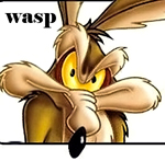 wasp